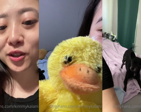 Kimmy Kalani aka kimmykalani - 10-08-2022 OnlyFans Video - Happy Friday hehe Dash got a new ducky stuffed animal and he loves it  what