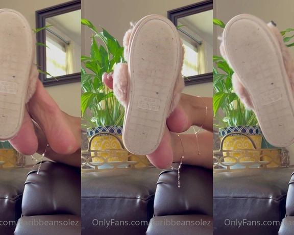 CaribbeanSolez aka caribbeansolez - 03-22-2023 OnlyFans Video - Good morning foot lovers Heres a little house slipper play while I scanned my social media