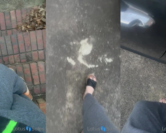 Lotus Feet aka lotussoles - 04-20-2023 OnlyFans Video - Quick  run, stopping for ginseng omw back