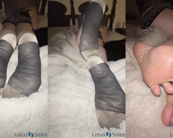 Lotus Feet aka lotussoles - 04-23-2023 OnlyFans Video - 2_week socks