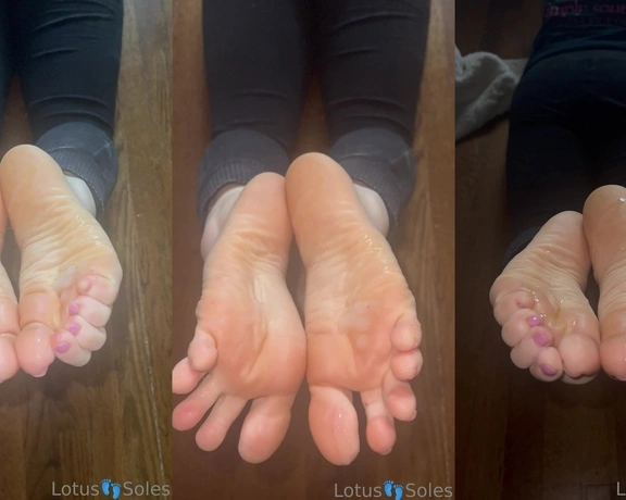 Lotus Feet aka lotussoles - 05-15-2023 OnlyFans Video - Leaked lotussoles 26104