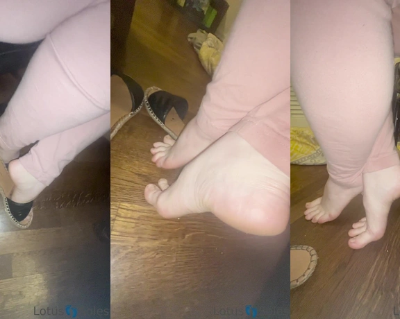 Lotus Feet aka lotussoles - 07-30-2023 OnlyFans Video - All gone_m0y4