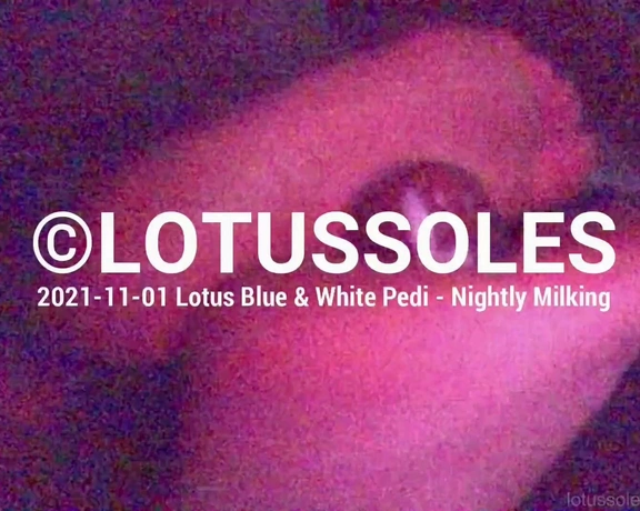 Lotus Feet aka lotussoles - 09-01-2023 OnlyFans Video - Leaked lotussoles 54569