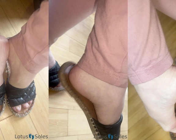 Lotus Feet aka lotussoles - 07-30-2023 OnlyFans Video - All gone_bjel