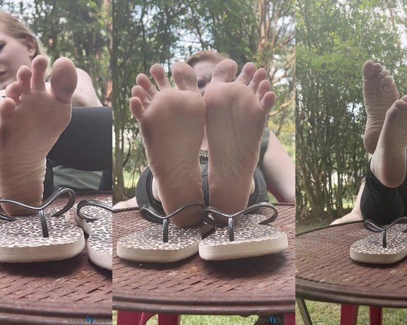 Lotus Feet aka lotussoles - 08-31-2023 OnlyFans Video - Leaked lotussoles 39797