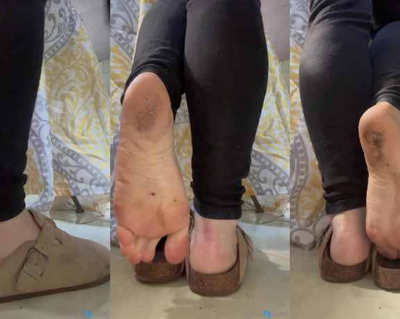 Lotus Feet aka lotussoles - 09-23-2023 OnlyFans Video - Leaked lotussoles 45330