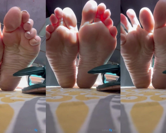 Lotus Feet aka lotussoles - 09-24-2023 OnlyFans Video - Leaked lotussoles 78929