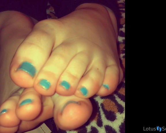 Lotus Feet aka lotussoles - 08-29-2024 OnlyFans Video - I thought I noticed my flats somewhere recently httpsonlyfans