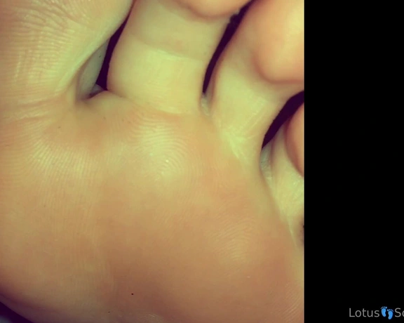 Lotus Feet aka lotussoles - 08-29-2024 OnlyFans Video - I thought I noticed my flats somewhere recently httpsonlyfans