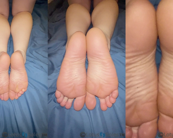 Lotus Feet aka lotussoles - 01-02-2023 OnlyFans Video - daily sweaty glow