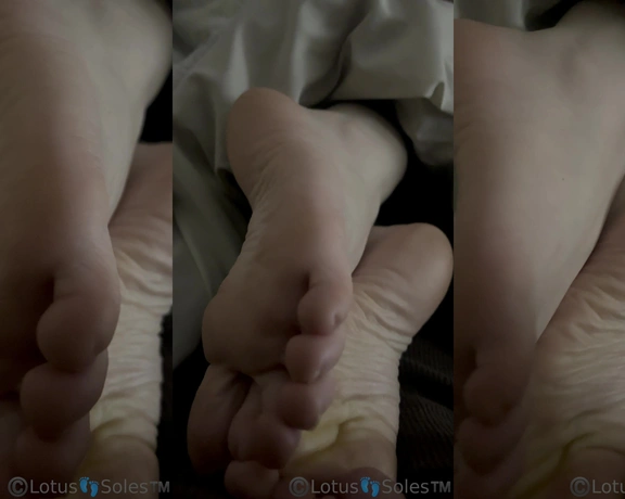 Lotus Feet aka lotussoles - 01-06-2023 OnlyFans Video - Leaked lotussoles 2803