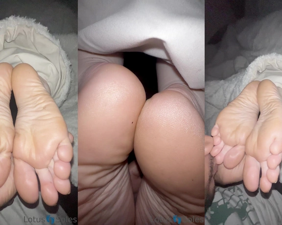 Lotus Feet aka lotussoles - 01-11-2023 OnlyFans Video - Leaked lotussoles 35757