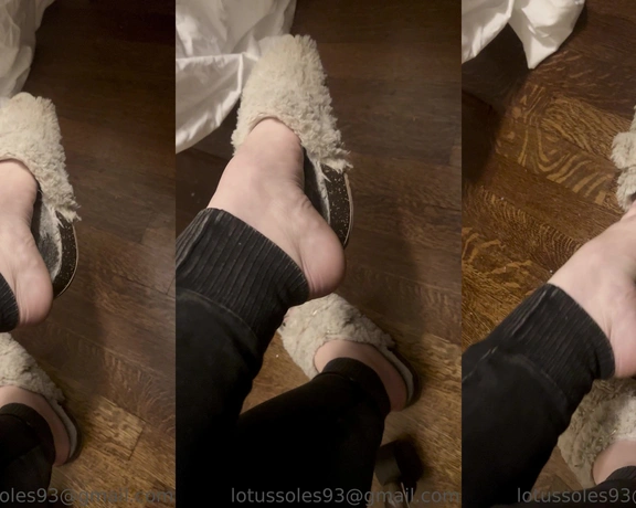 Lotus Feet aka lotussoles - 11-19-2022 OnlyFans Video - These have been my favorite this week