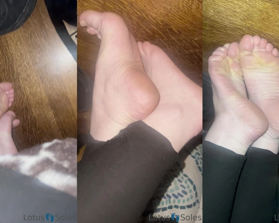 Lotus Feet aka lotussoles - 01-16-2023 OnlyFans Video - teamnosocks