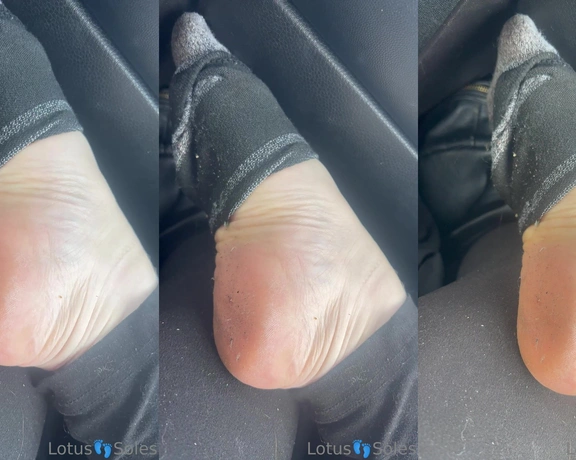 Lotus Feet aka lotussoles - 02-17-2023 OnlyFans Video - quick peek