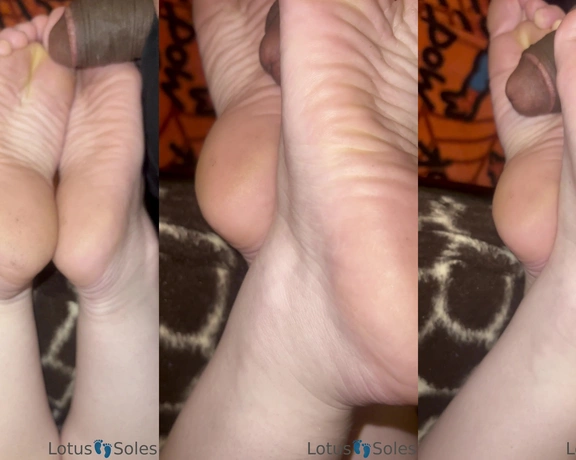 Lotus Feet aka lotussoles - 03-10-2023 OnlyFans Video - Leaked lotussoles 4516